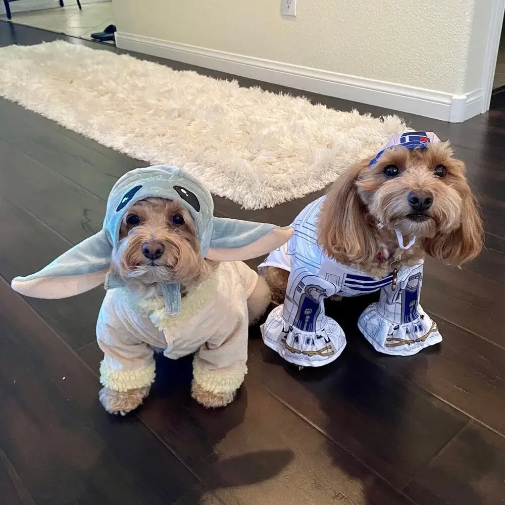 Rubies Star Wars Grogu The Child Pet Costume Size Medium M Baby Yoda Outfit